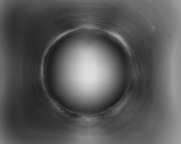 X0000089870910200707121752