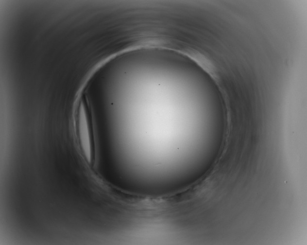X0000089870912200707121752