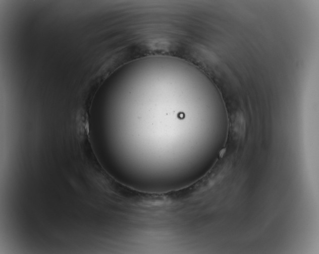 X0000089870916200707121751