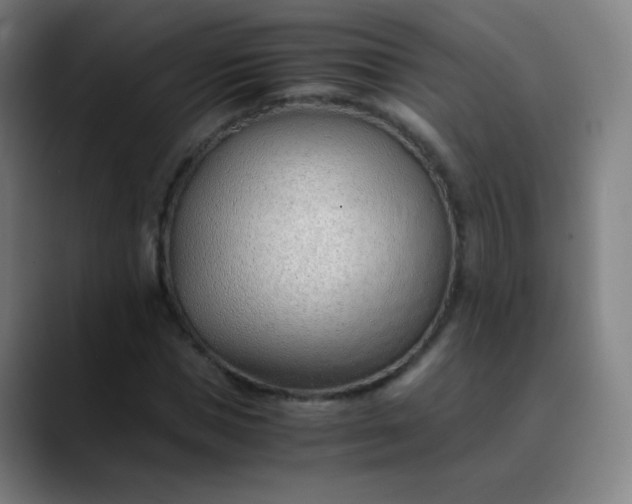 X0000089870921200707121751