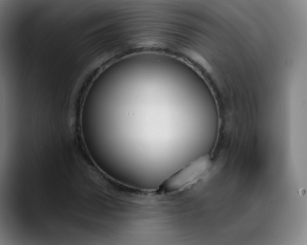 X0000089870922200707121751