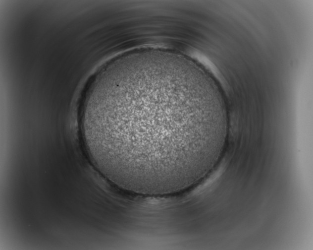 X0000089870923200707121751