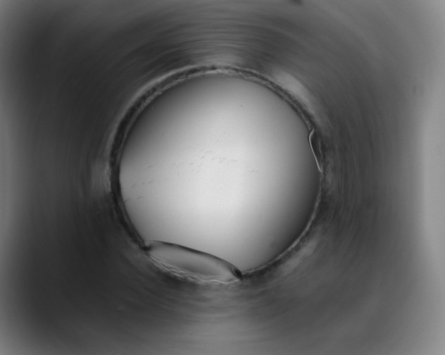 X0000089870924200707121751