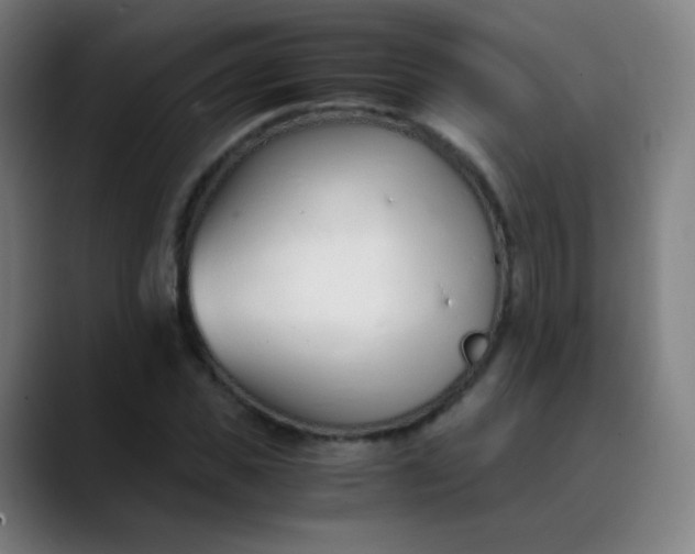 X0000089870925200707121751