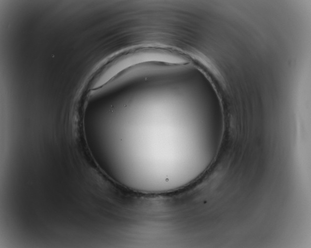 X0000089870926200707121751