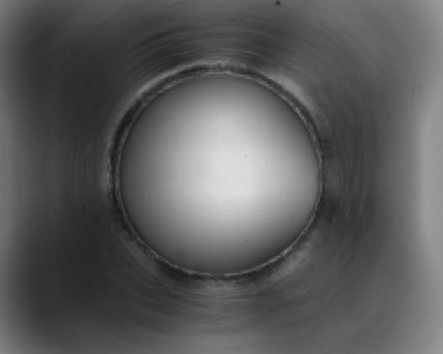 X0000089870927200707121751