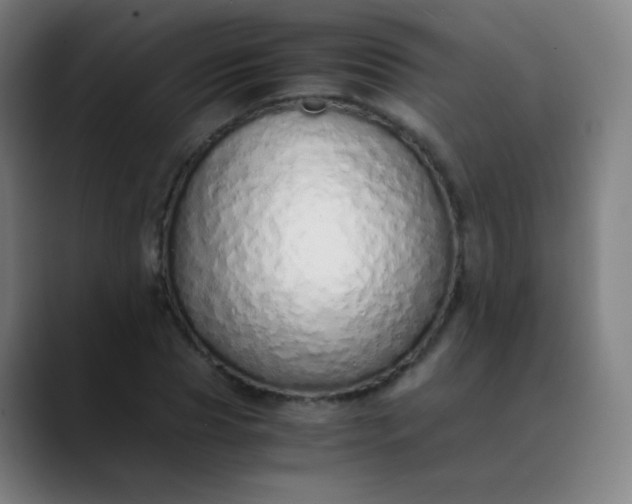 X0000089870929200707121751