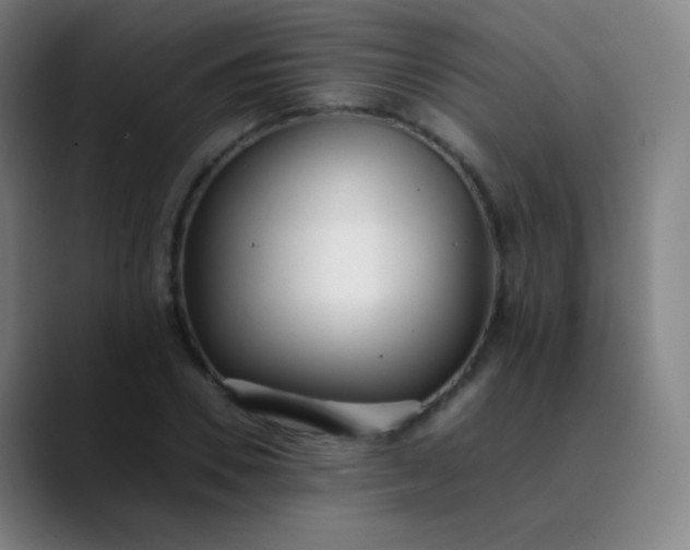 X0000089870930200707121751