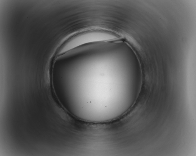 X0000089870934200707121751