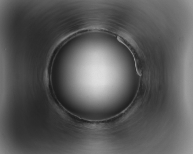 X0000089870936200707121751