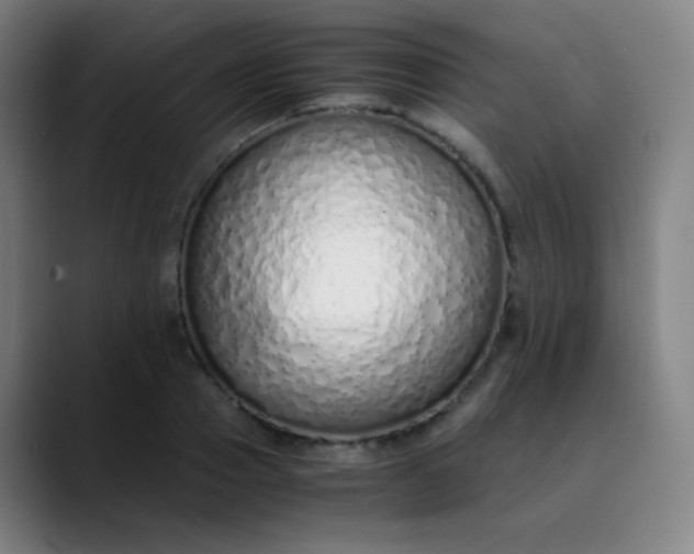 X0000089870937200707121751