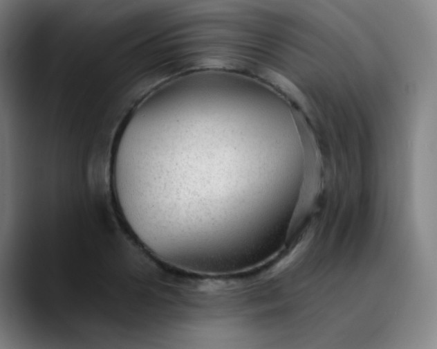 X0000089870938200707121751