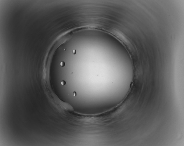 X0000089870940200707121752