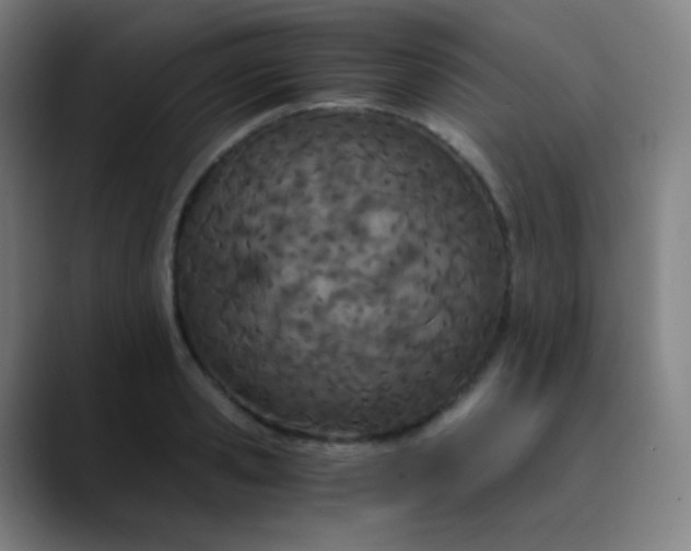X0000089870941200707121752
