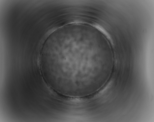 X0000089870945200707121752