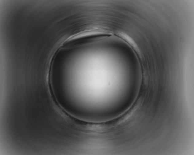 X0000089870946200707121752