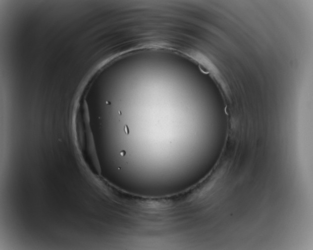 X0000089870947200707121752