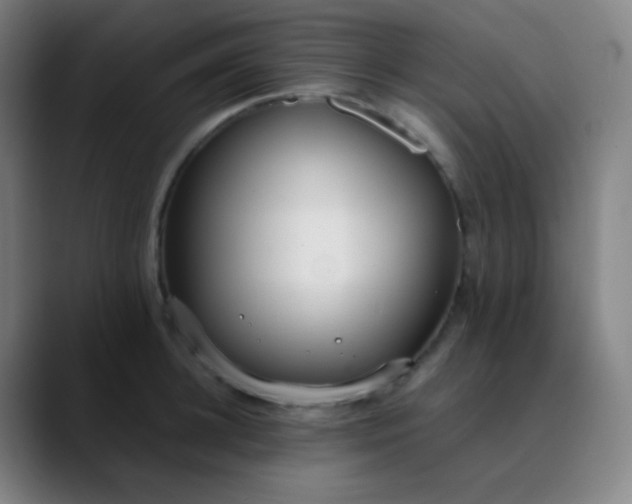 X0000089870948200707121752