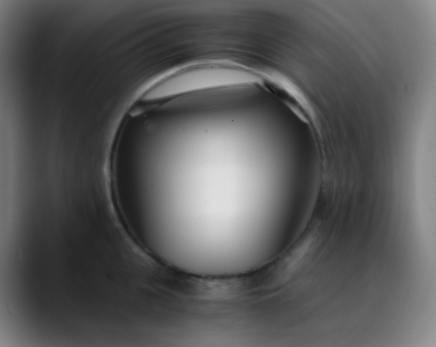 X0000089870951200707121752