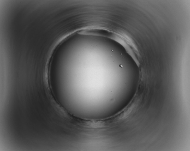 X0000089870952200707121752