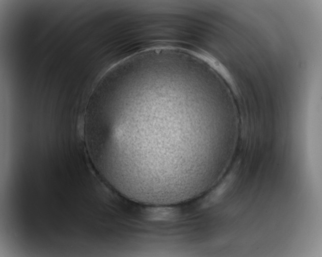 X0000089870953200707121752