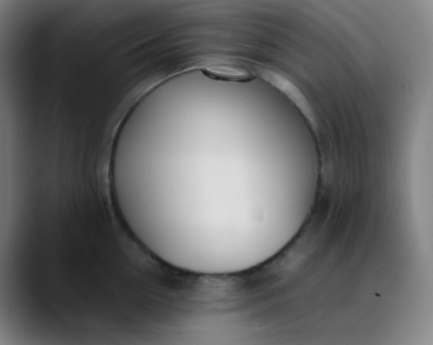X0000089870954200707121752