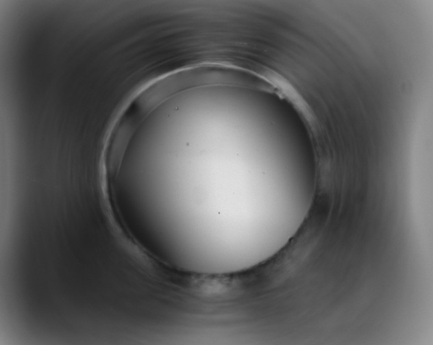 X0000089870955200707121752