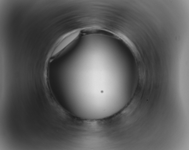 X0000089870956200707121752