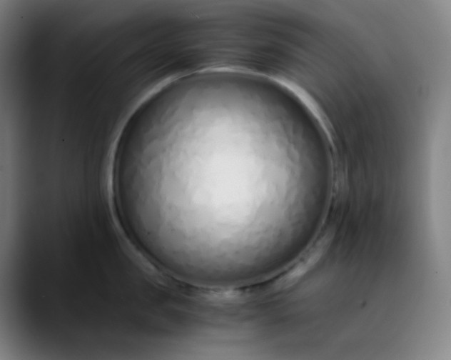 X0000089870957200707121752