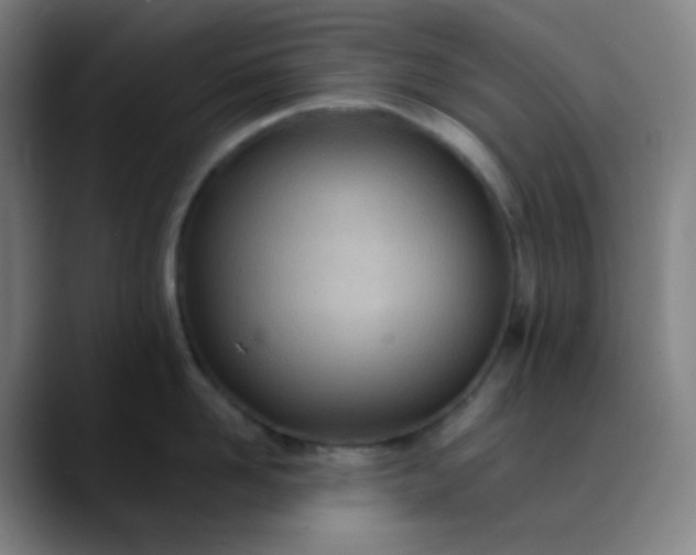 X0000089870958200707121752