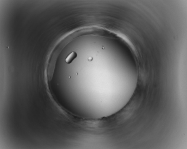 X0000089870959200707121752