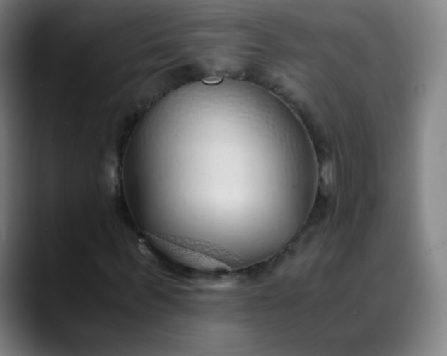 X0000089870963200707121751