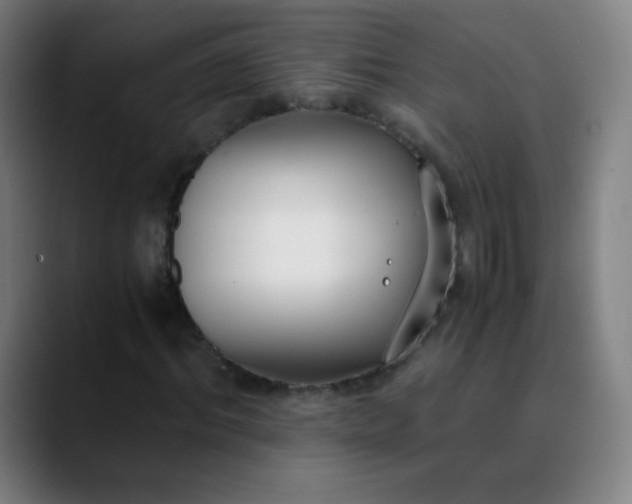 X0000089870964200707121751