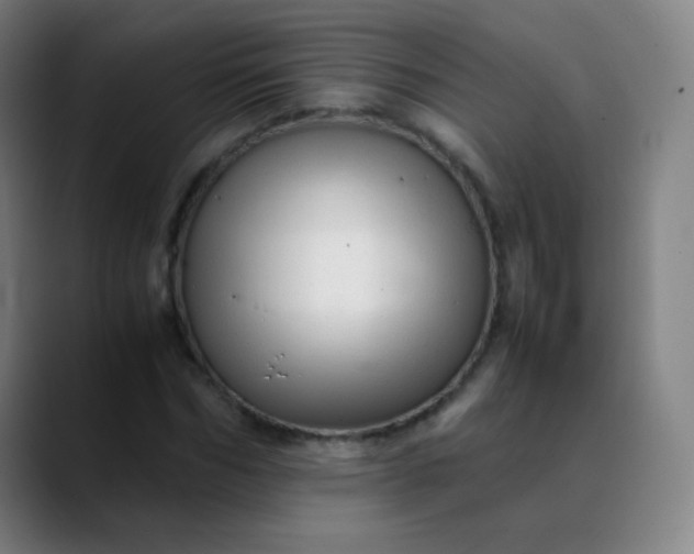 X0000089870970200707121751