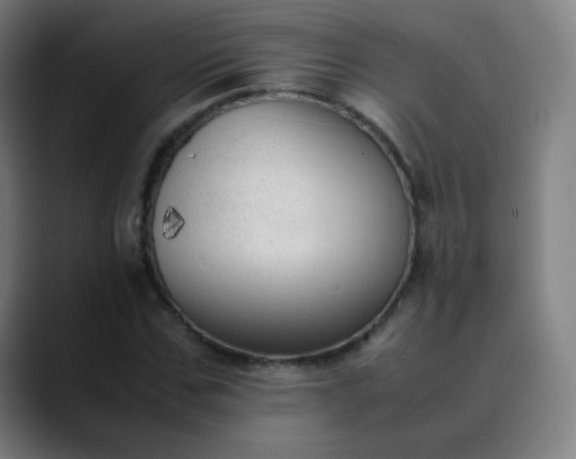 X0000089870971200707121751
