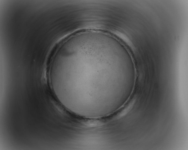 X0000089870974200707121751