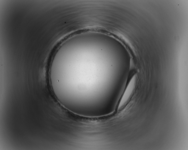 X0000089870975200707121751
