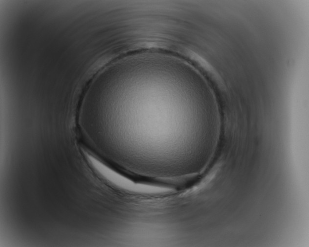 X0000089870977200707121751