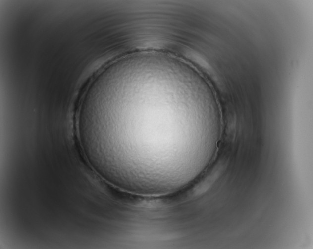 X0000089870978200707121751