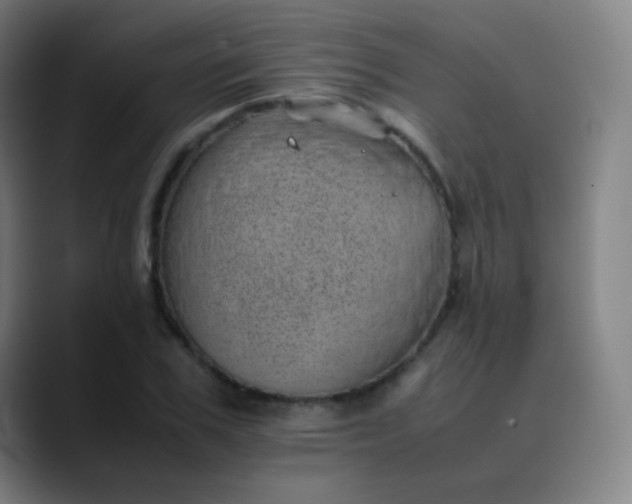 X0000089870979200707121751