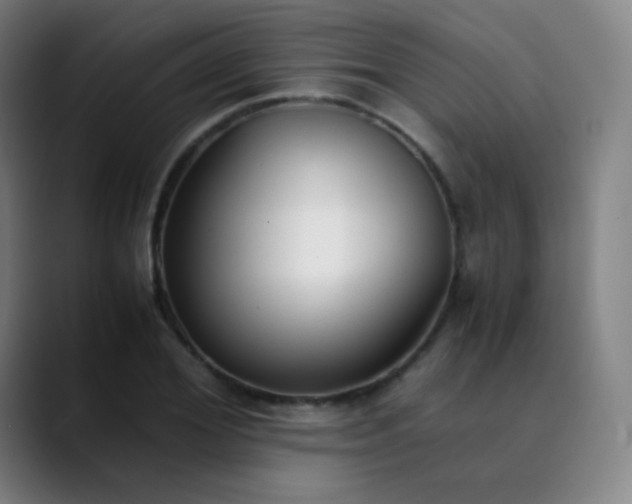 X0000089870980200707121751