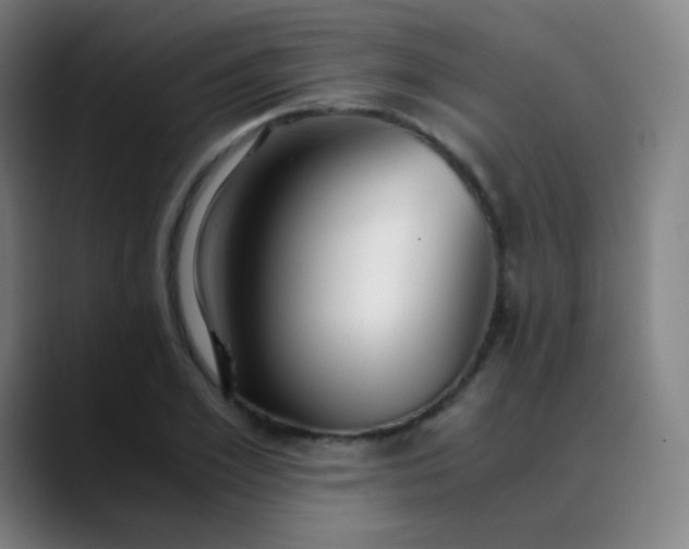 X0000089870981200707121751