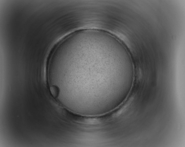 X0000089870982200707121751