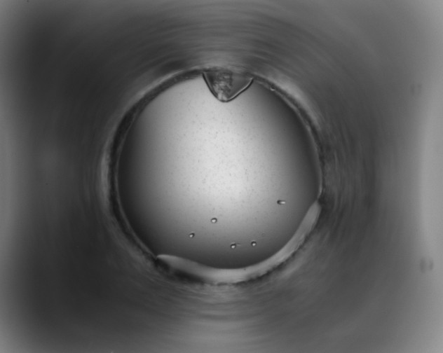 X0000089870983200707121751