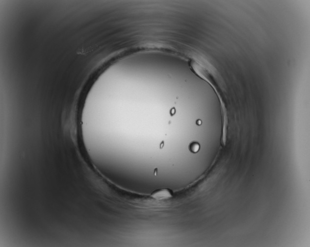 X0000089870984200707121751