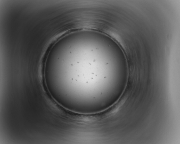 X0000089870987200707121751