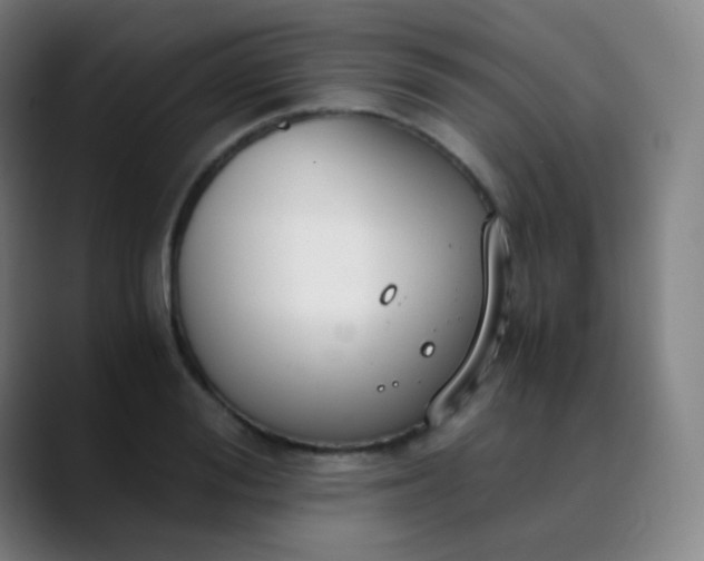X0000089870988200707121751