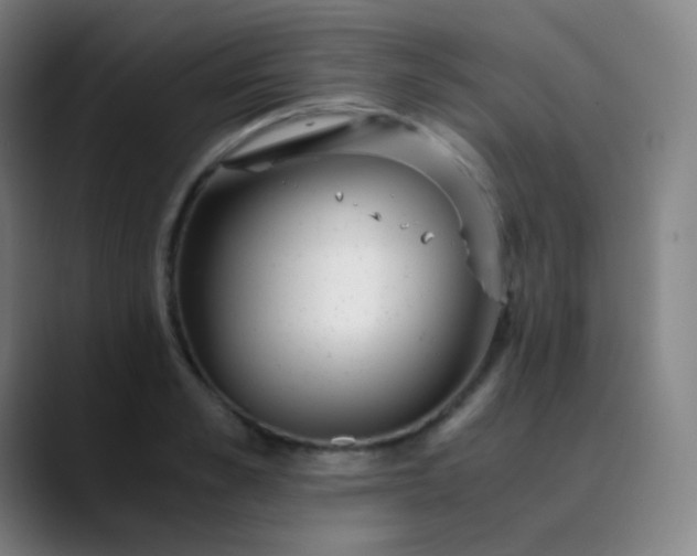 X0000089870989200707121751