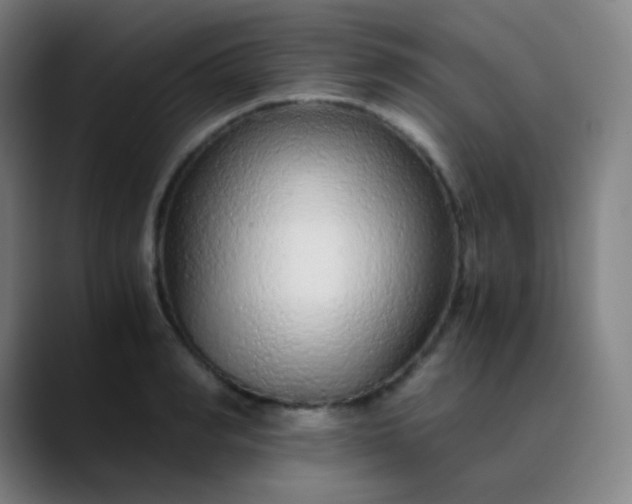 X0000089870990200707121751
