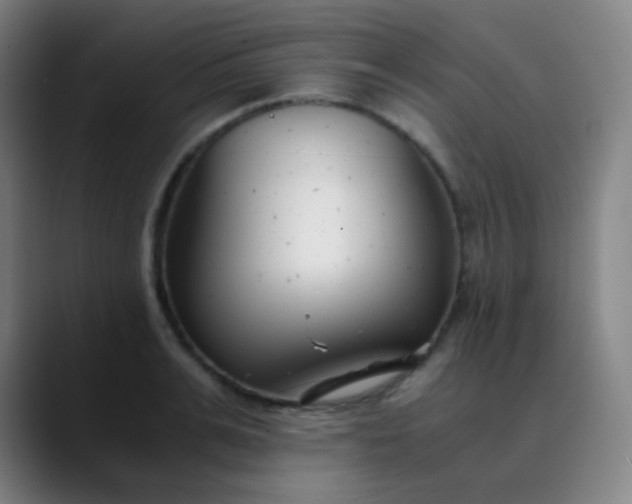 X0000089870991200707121751